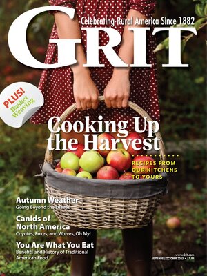 cover image of Grit